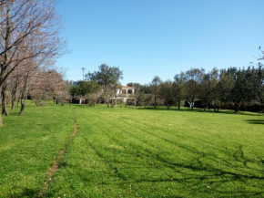 Villa Floris giardino AIRCON WIFI Parcheggio